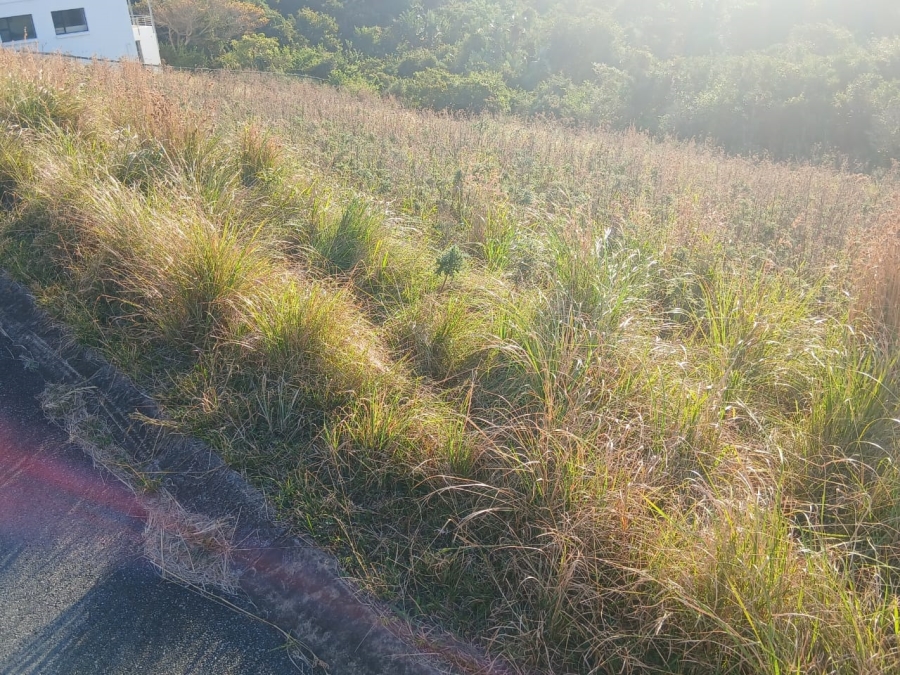 0 Bedroom Property for Sale in Morgans Bay Eastern Cape